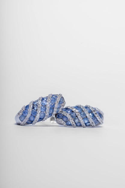 Tanzanite Striped Earrings