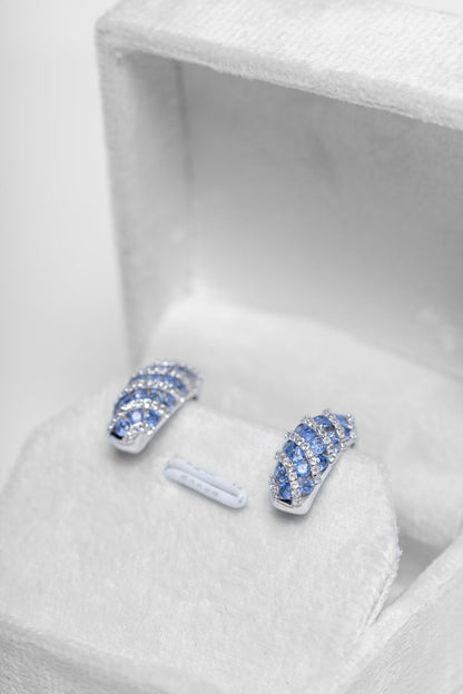 Tanzanite Striped Earrings