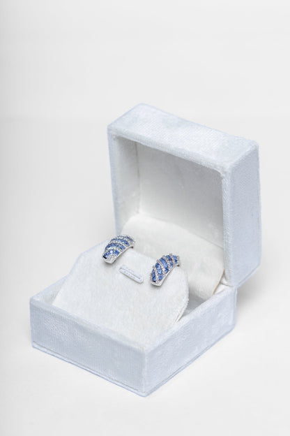 Tanzanite Striped Earrings